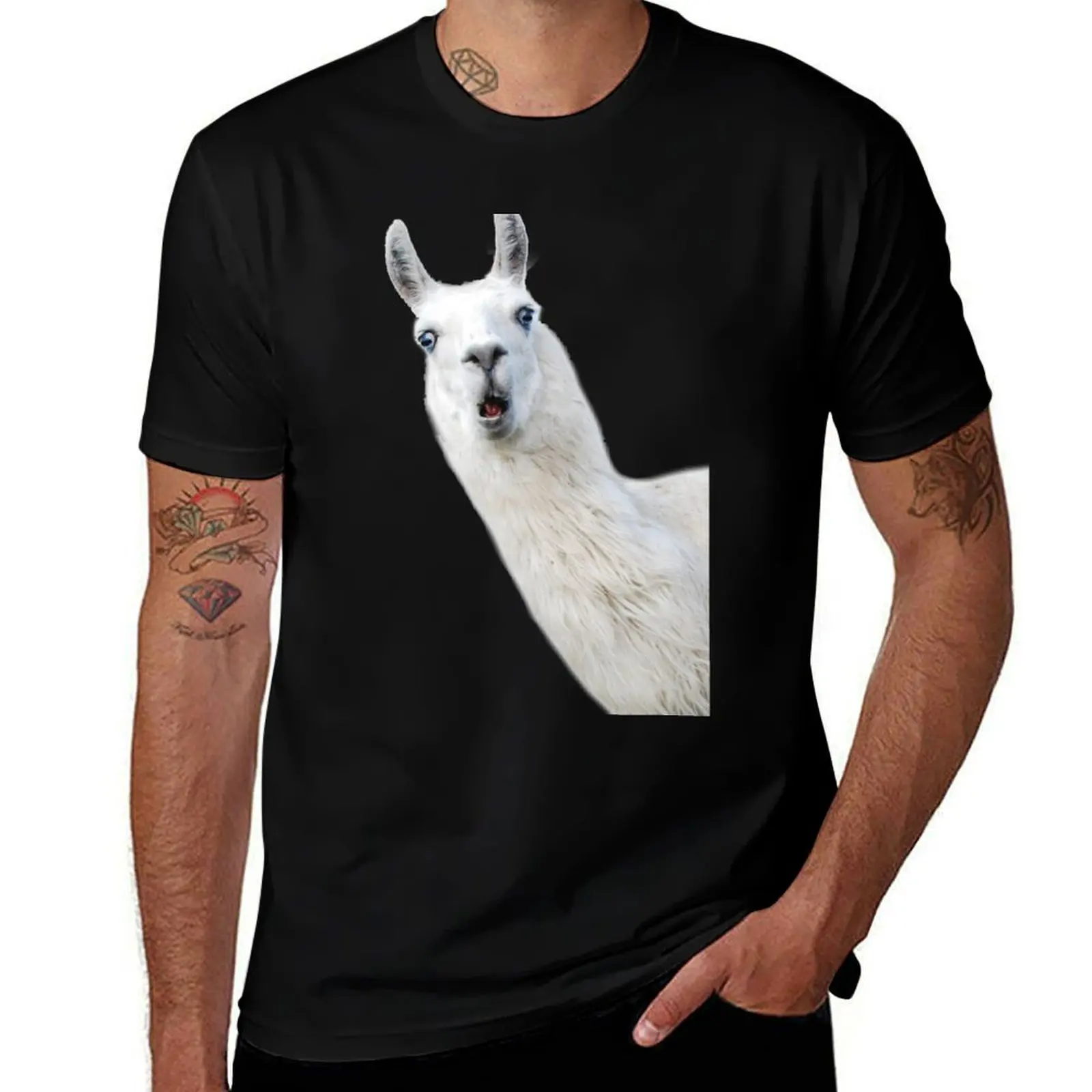 Funny Llama T-Shirt Lightweight Gym Training T-Shirt