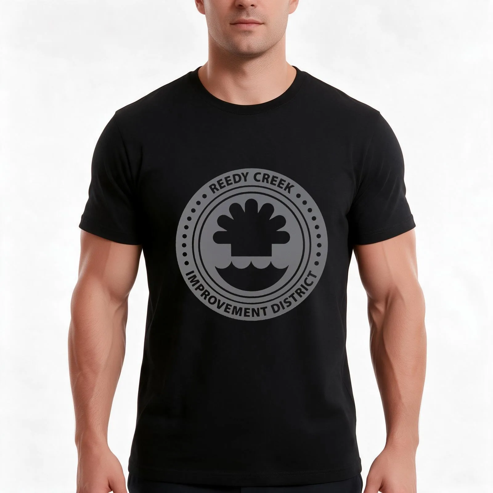 Reedy Creek Improvement District T-Shirt, Summer Casual Cotton Tee, Oversized Streetwear Tops, Vintage Graphic Print