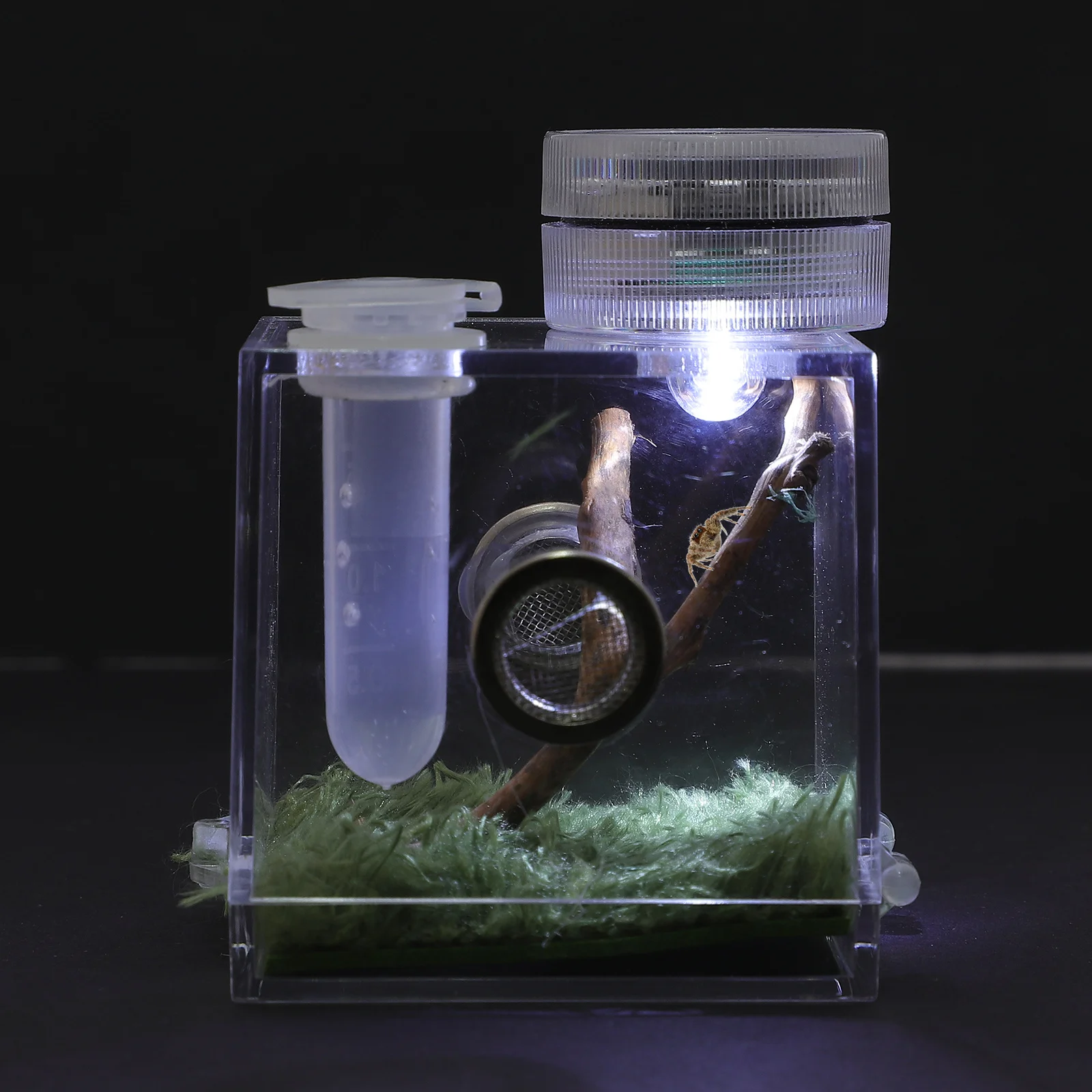 

Spider Habitat Box High Transparent Size M Jumping Spider Cage Storage Lamp Easy Observation Breeding Carrier Ecological Box