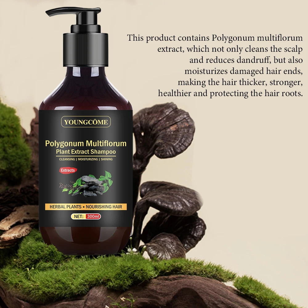 Herbal Polygonum Multiflorum Shampoo Oil Control Dandruff Control Itchy Relief Moisturize The Scalp Shampoo for Men and Women