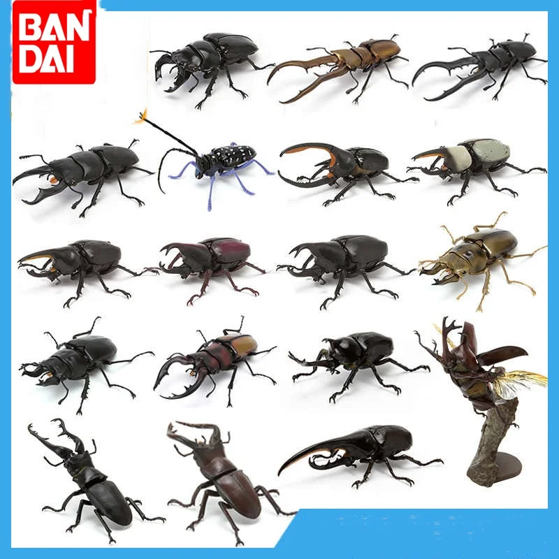 Hot Original Bandai Biology Illustrated Guide Insects Series Beetle Different Style Models Collection Pendant Figure Model Toys