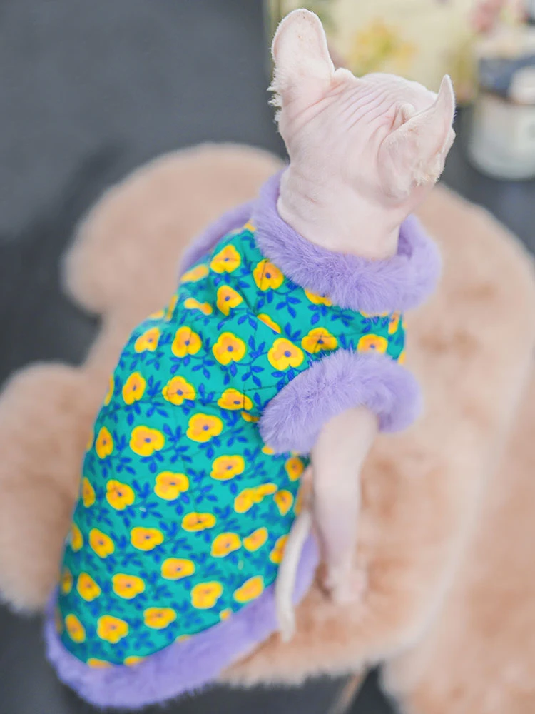 Plush Cheongsam Cotton Jacket Coat Suit for Sphynx Cat in Winter thick warm Sweater for Kittens Soft Lace Coat for Female Cat