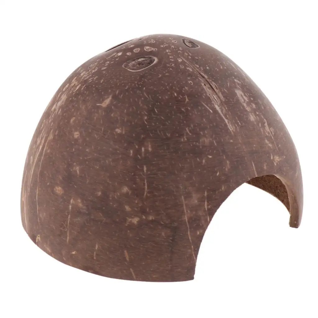 

Natural Hut - Non-, Coconut Reptile Hideouts, , Aquarium Fish