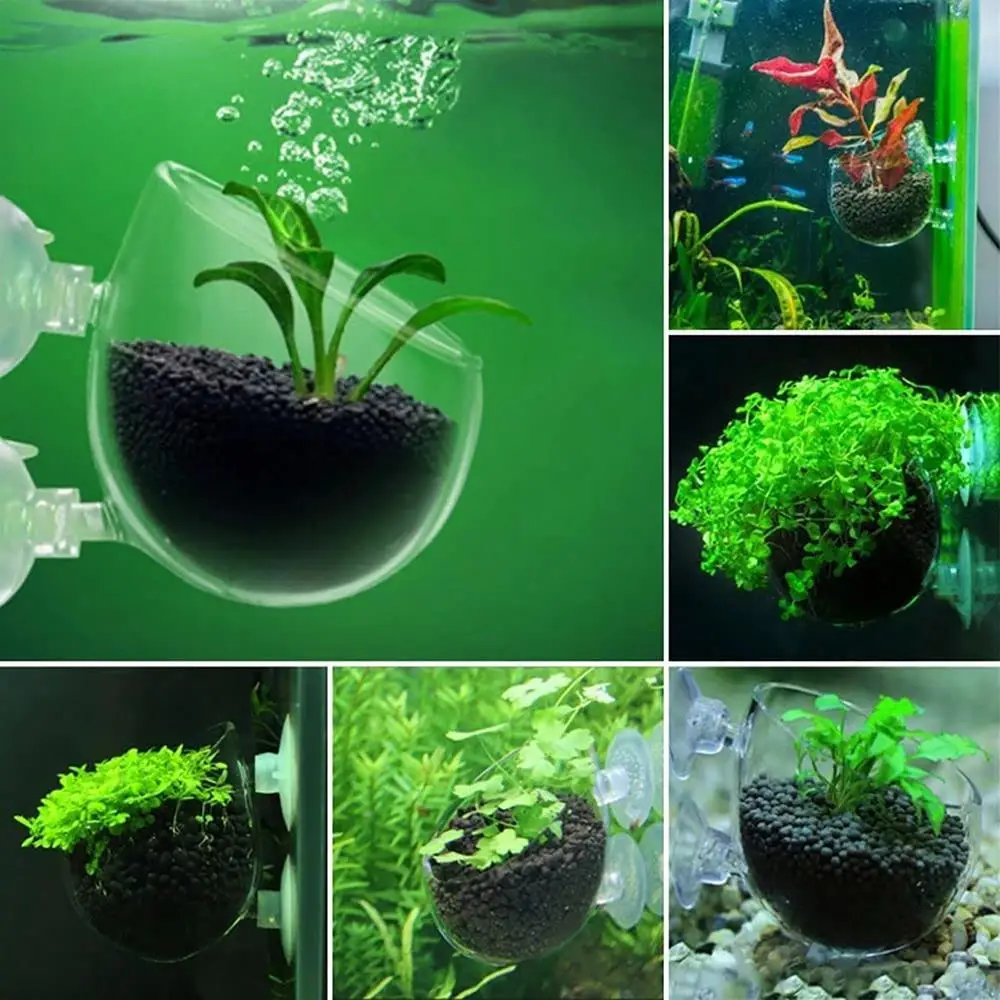 Acryl Wasserpflanze Tasse Aquarium Aquarium Glas Blumentopf mit Saugnapf Fütterungsbehälter Ständer für Aquarium Landschaft – Detail 5