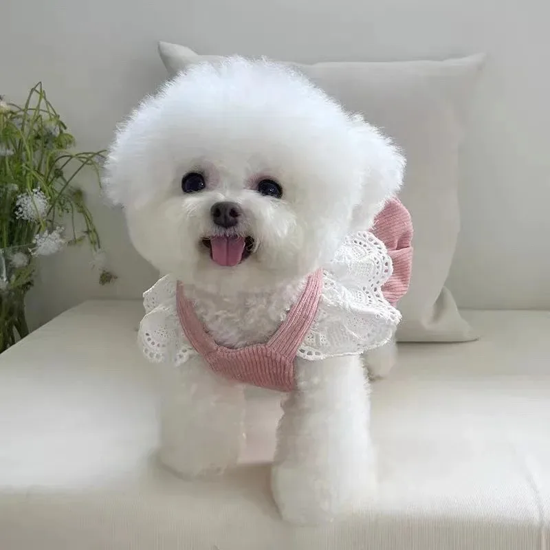 Pet Dog Clothes Winter Puppy Dress Corduroy Pumpkin Skirt Pulling Buckle Teddy Cat Warm Lace Skirt Puppy Dresses for Small Dogs