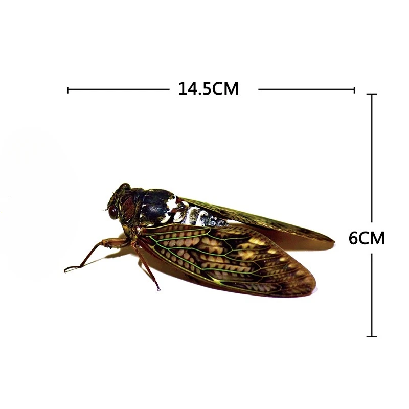 3d Künstliche Insekten Motorrad Aufkleber Front Gugel Kraftstoff Tank Seite Verkleidungen Dekoration Vinyl Aufkleber Tier Motor Zubehör