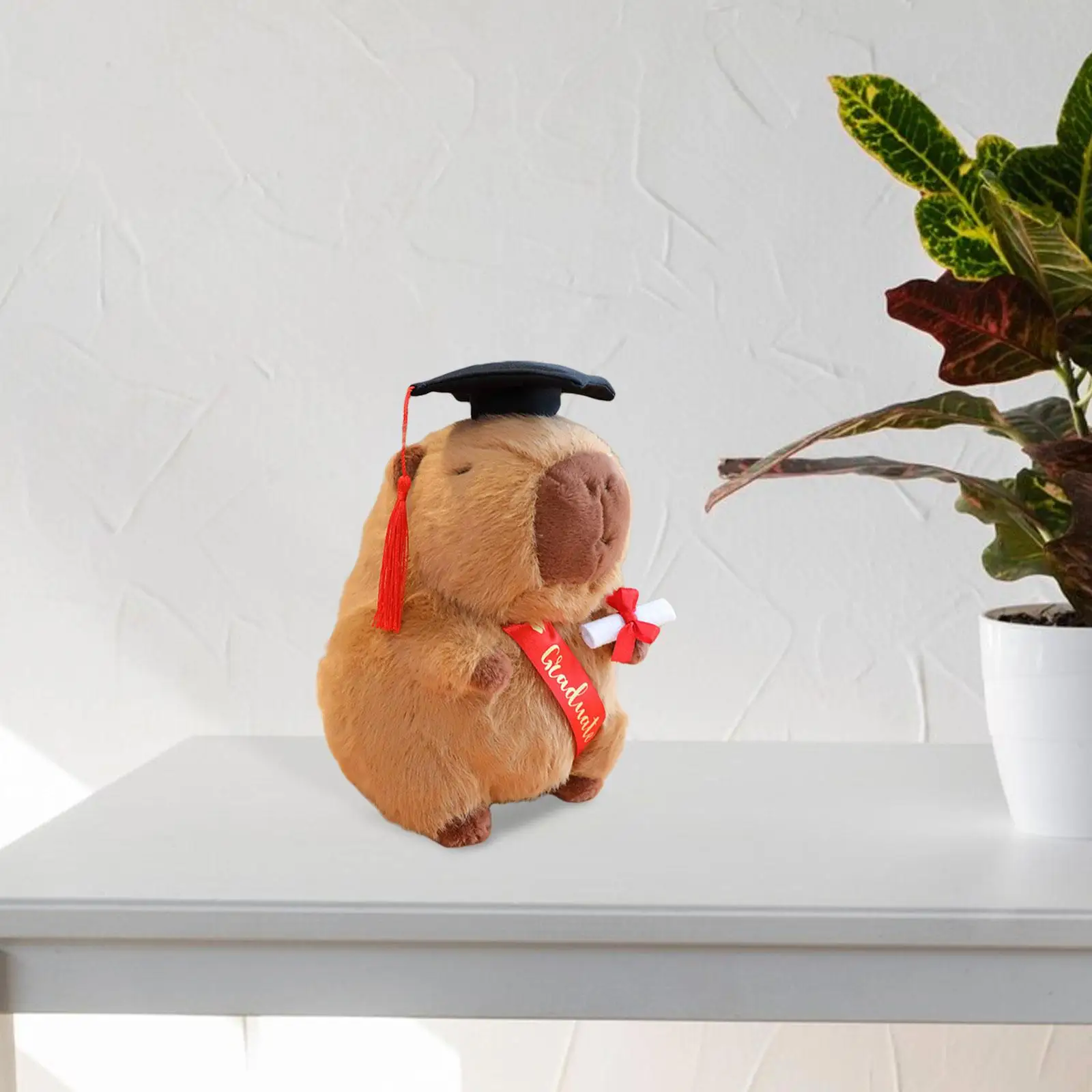 Graduation Doll 25cm Birthday Kids Family Girls Adults Toy