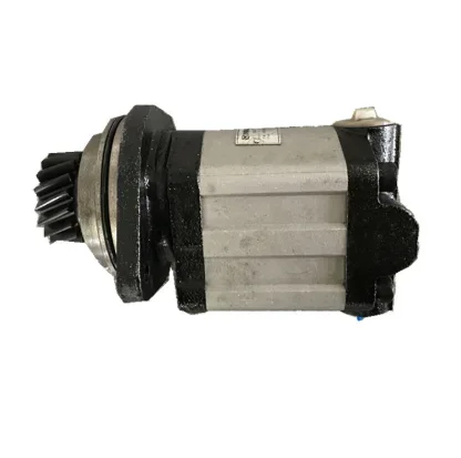 

Original Truck Crane Spare Parts Steering Pump 803000458
