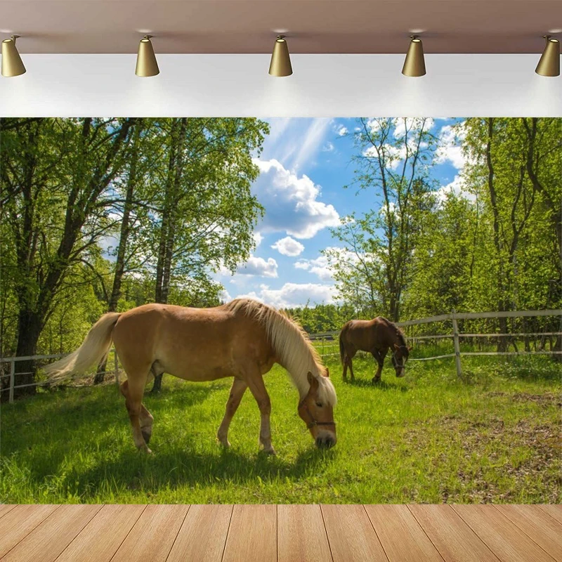 Horses In Paddock Photography Backdrop Farm Spring Pasture Scenery Meadow Summer Countryside Fence Blue Sky Rustic Background