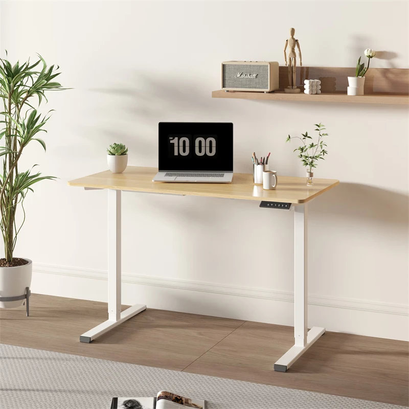 

Electric Standing Desk Adjustable Height Desk Home Office Computer Workstation Sit Stand up Desk,48 x 24 inches (white fame + ma