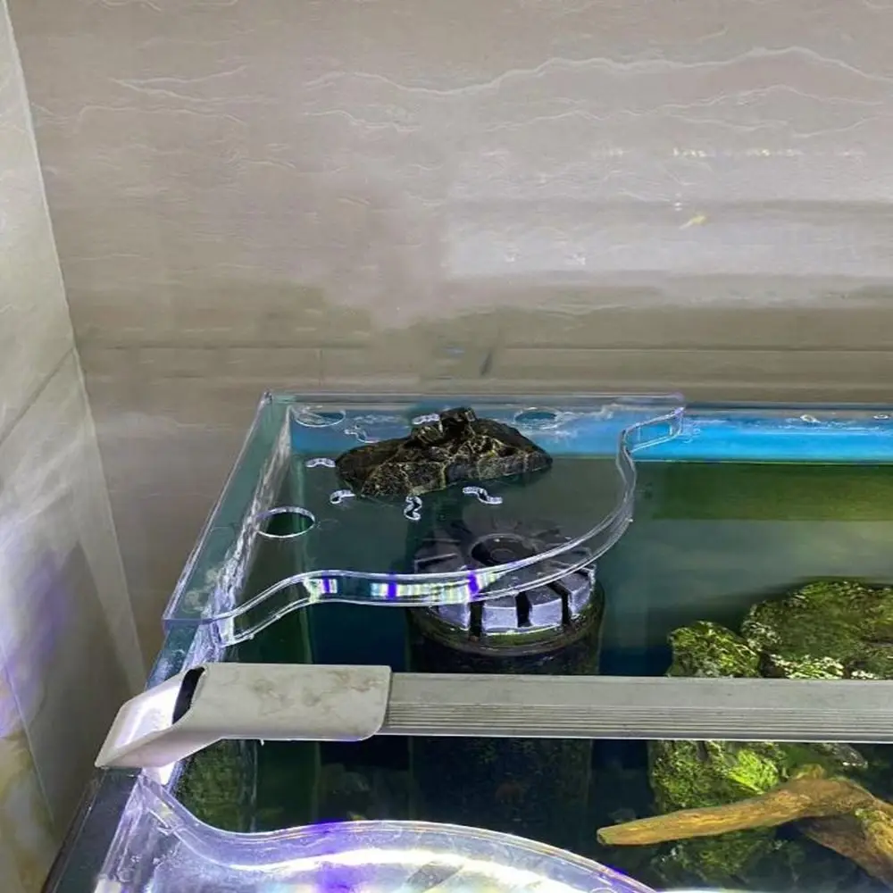 Triangle Fish Tank Corner Storage Rack Clear Easy Installation Aquarium Plant Holder Decorative Space Saving