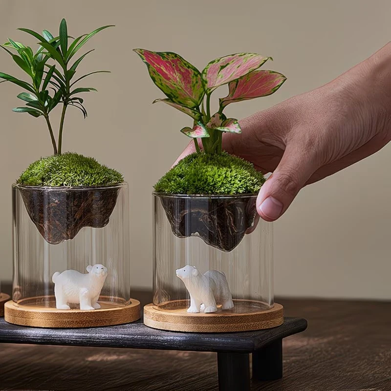 Glass Terrarium For Mountain Views Moss Planter Hydroponic Plant Container Multifunctional Cup Home Decoration Great Gift