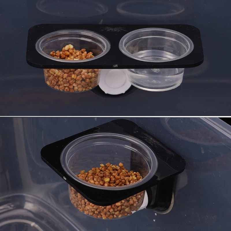 Thumbnail 3 - #11 Best Reptile Water Bowls to Buy In 2026