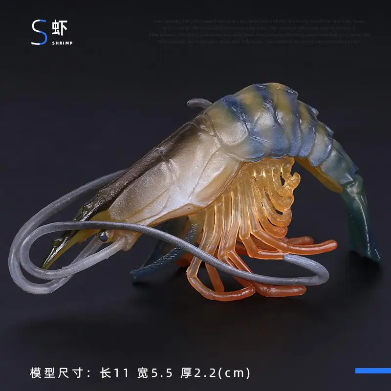 Simulatie Plastic Zeedier Speelgoedfiguren Nautilus, koning Spider Heremietkreeft Zeeleven Dieren Model Collectie Speelgoed
