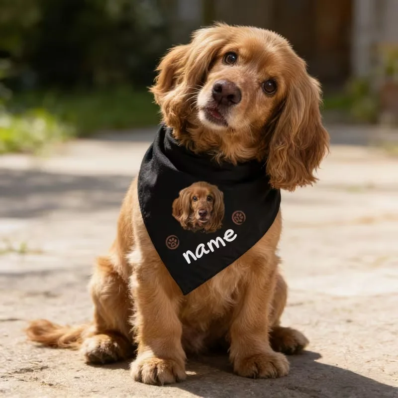 bandana-personalizada-para-pets-com-nome-e-foto-lenco-triangular-para-caes-acessorios-para-caes-presente-Unico-para-amantes-de-pets