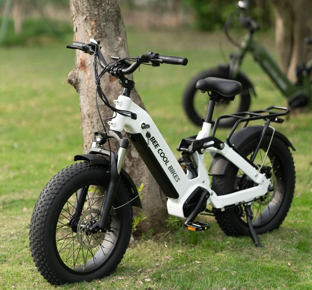 

Высокое качество, 20 дюймов, 20 Ач, 1000 Вт, 7 скоростей, горный электрический велосипед с толстыми шинами, литиевая батарея, снежный электронный велосипед