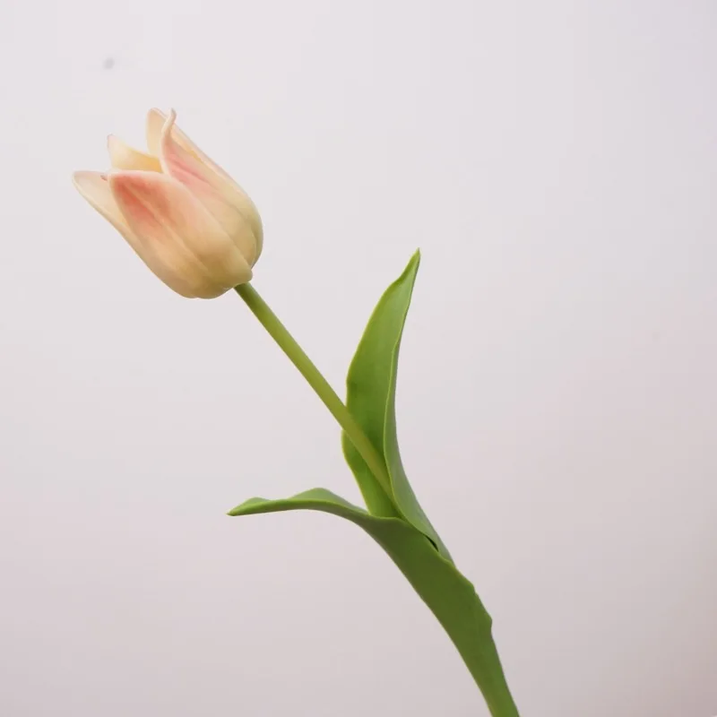 5-teiliges Set Latex-Kunsttulpen, echt anfühlende Blumen, Hochzeitsdekoration, künstliche Tulpen, Heimdekoration, Party- und Fotorequisiten – Detail 2