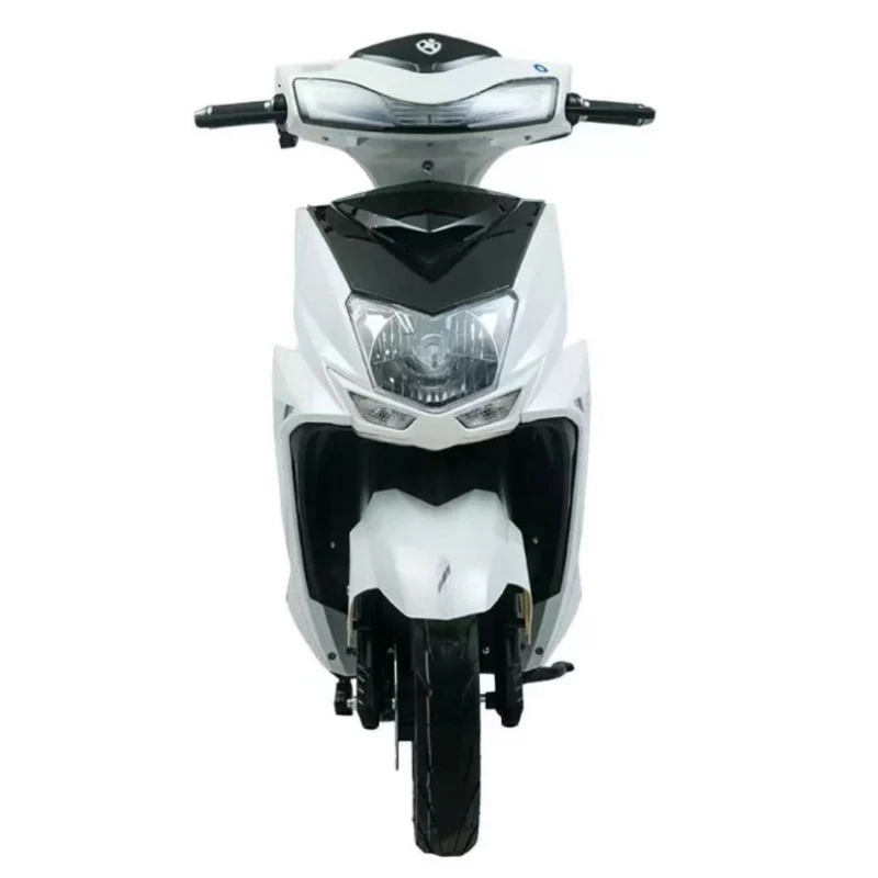 

SXLL Factory direct sales cheap 1000W 60v electric bicycle Zhanshen model two-wheeled adult electric scooter 500W motor electron