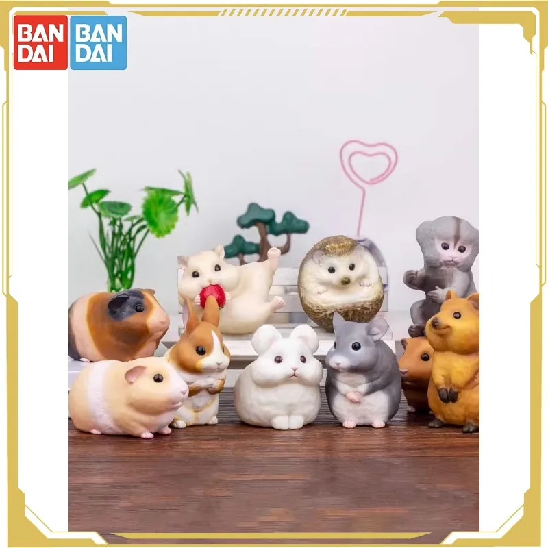

Bandai Orignal Candy Toy Little Cute Friend in The Palm 5 Rabbit Hedgehog Monkey Action Figure Toys for Boys Girls Kids Gift