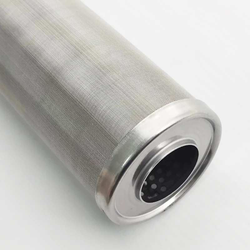 10Inch prefilter water filter, stainless steel screen filter element can clean 1 μ m/5 μ m