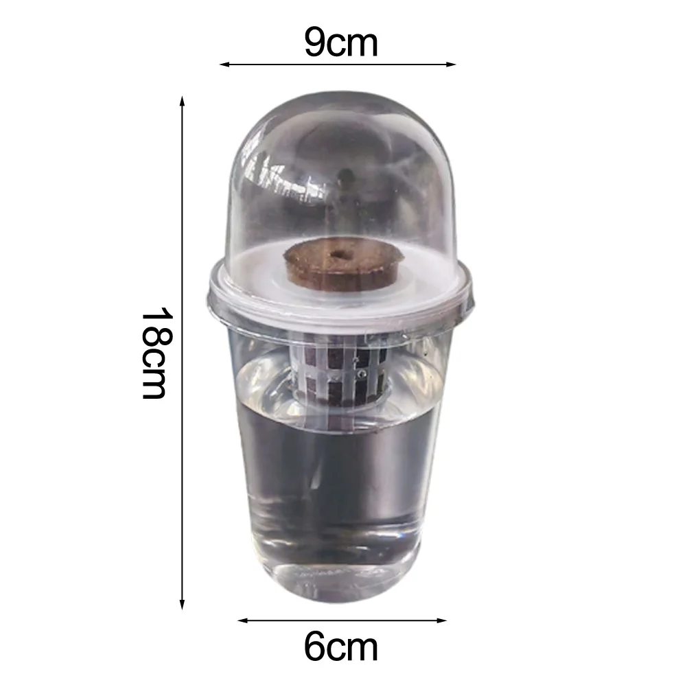 For vegetables Succulents and Garlic Soilless Growing 5 Pack Kit with Transparent Plastic Root Observation Cups