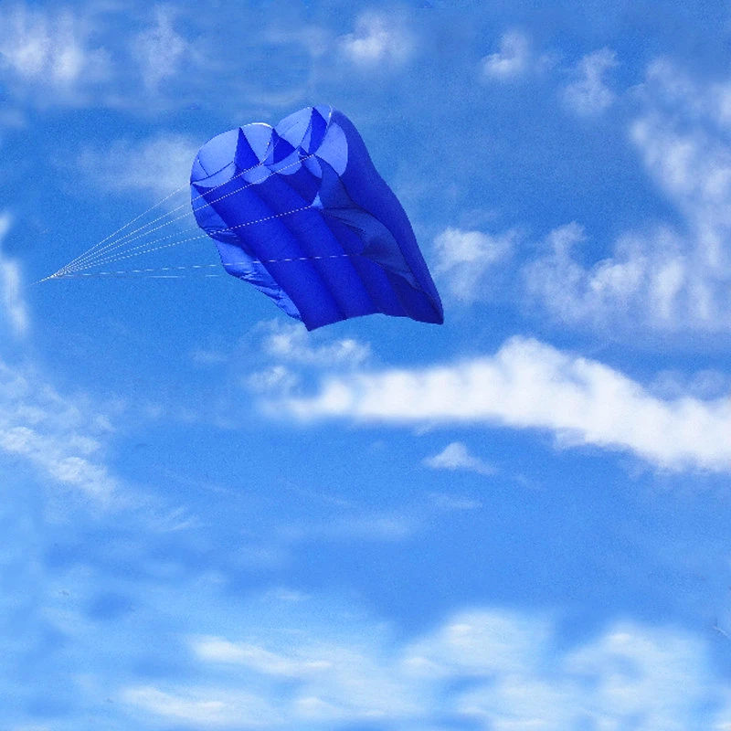 Large Pilot kite flying octopus kite nylon panda kites for adults reel acrobatics weifang kite Parachute kite surf sports kite