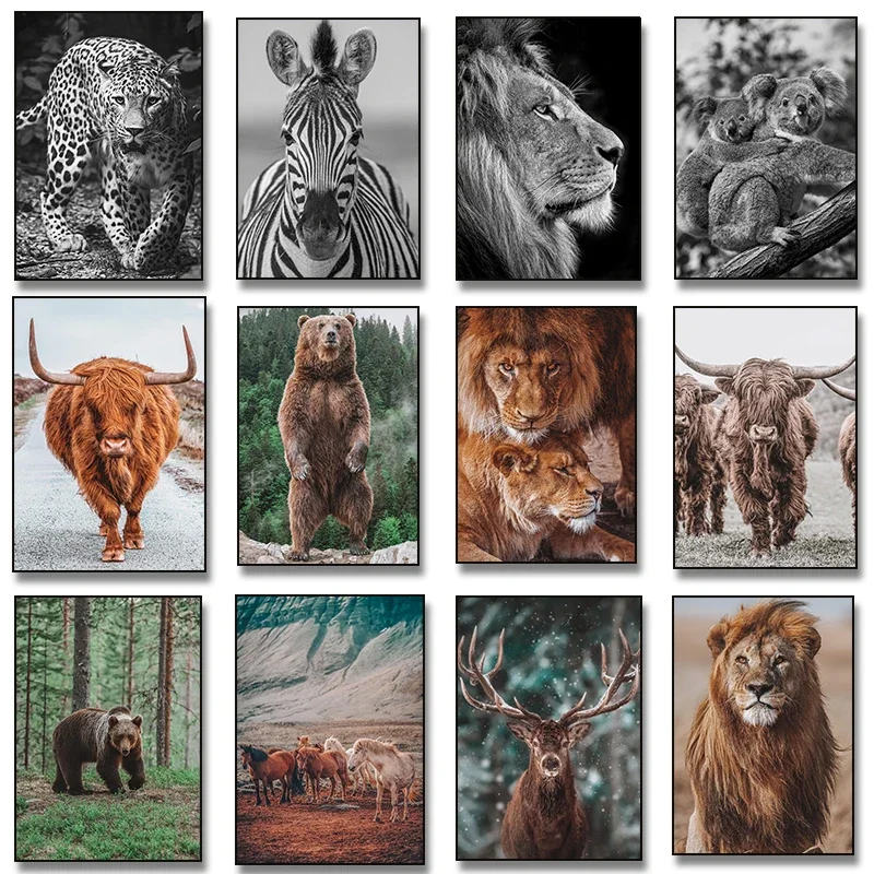 Póster de vida silvestre, Koala, cebra, vaca, León, caballo, leopardo, oso, ciervo, lienzo, pintura impresa, arte de pared para sala de estar, decoración del hogar, Cuadr