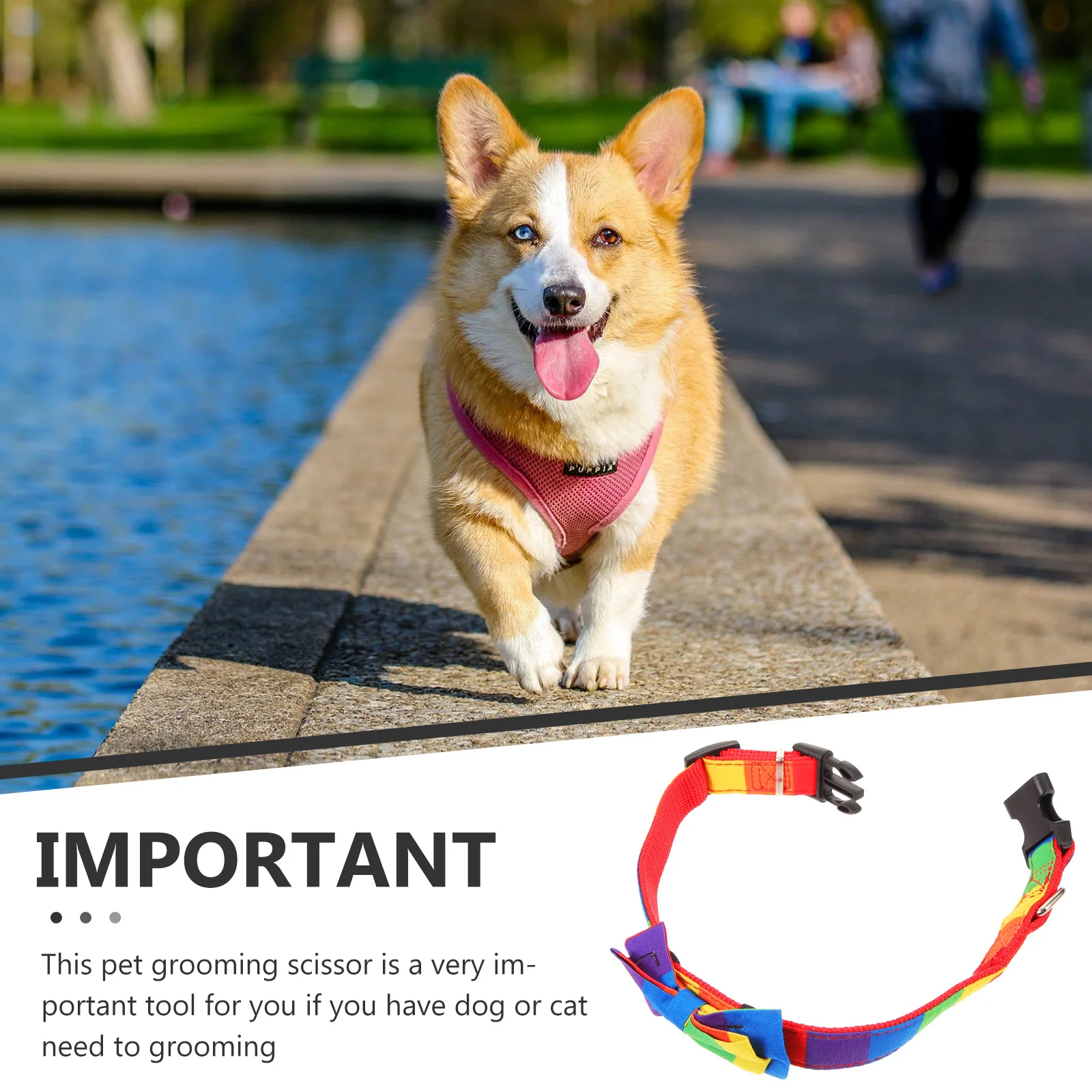 

Rainbow Necklace Dog Small Collar Decoration Collars Cute for Puppies Pet Accessories Cats and Dogs