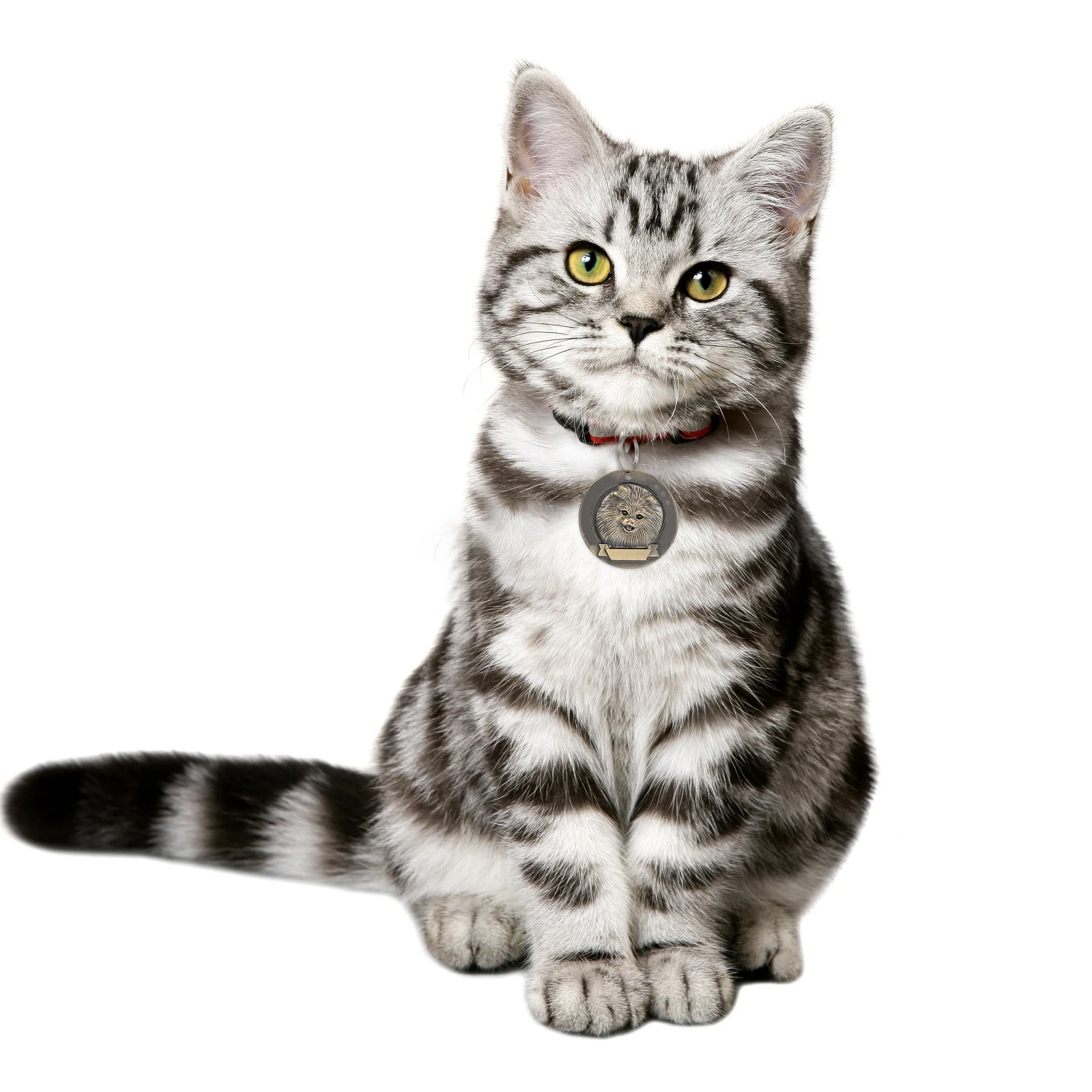 

3Pcs Vintage Pet Pendant Decor Zinc Alloy Id Hanging Tag for Dog Cat Pomeranian Scratch Resistant Polished Surface