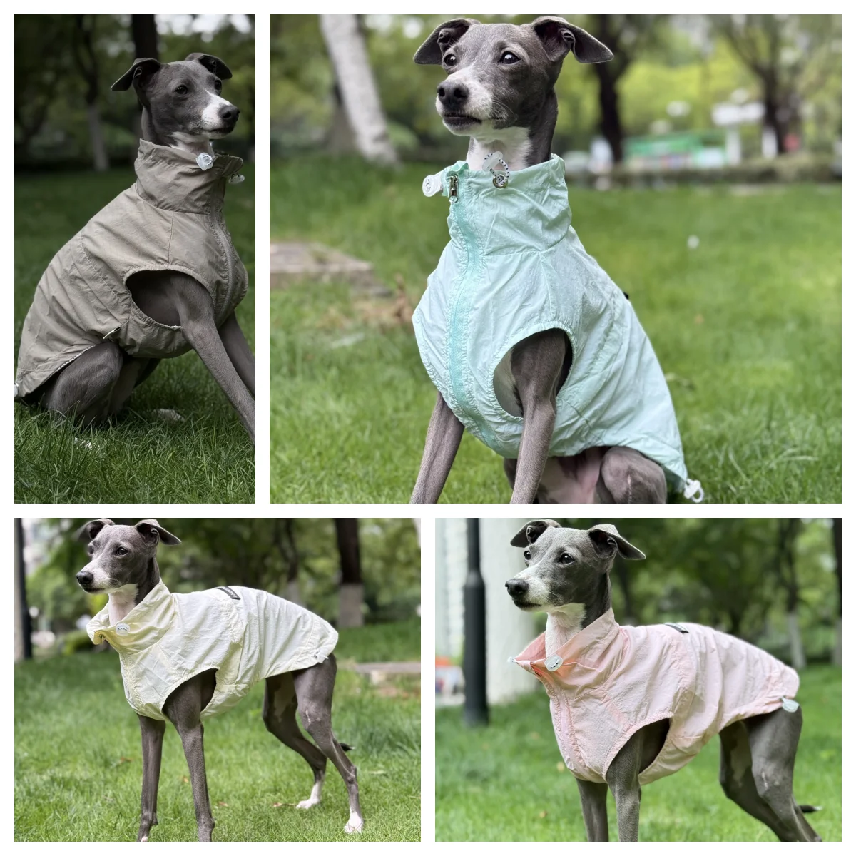 

Beige Sunscreen Clothing for Dogs Summer Cool Light Breathable UPF100 Blue Coat Pink Jacket with Zipper for Italian Greyhound