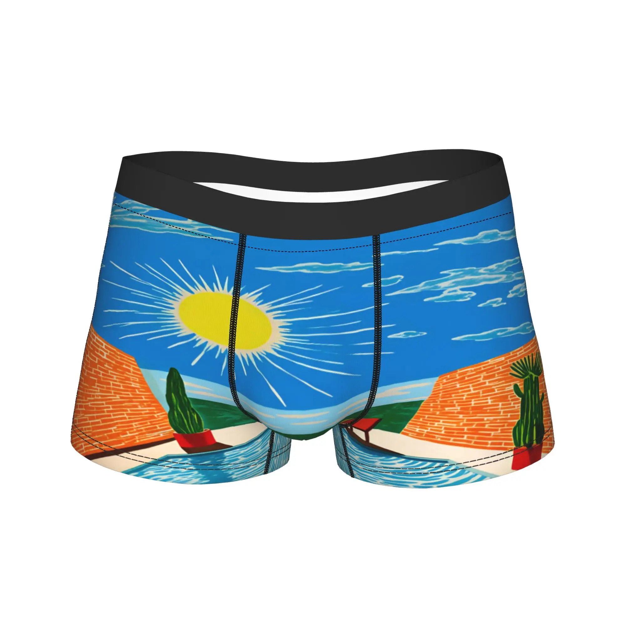 David Hockney Vintage VL22 Poster Shorts Briefs  Underwear Quality Males Comfortable Boxershorts Custom DIY Plus Size Underpants