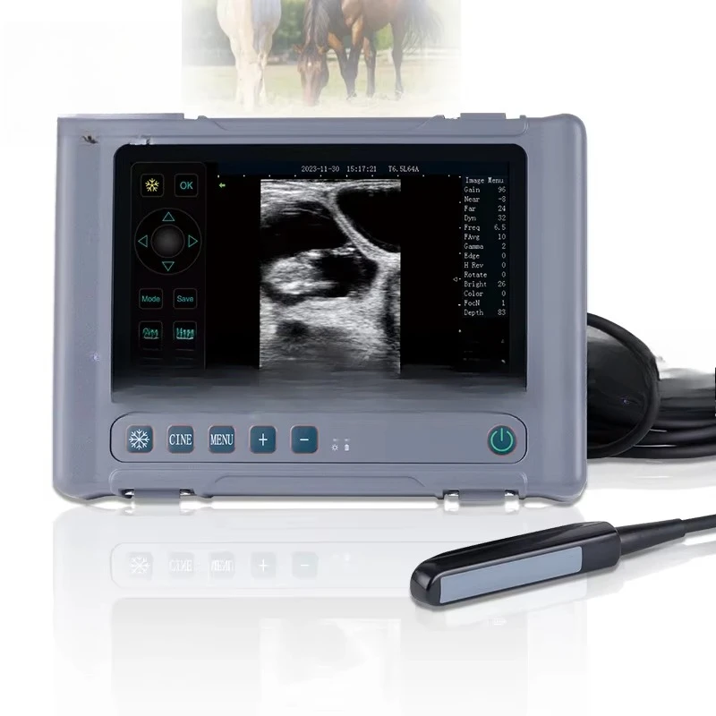 

Фермерская водонепроницаемая ультразвуковая ветеринарная машина для обнаружения сканирования свиней и коровы