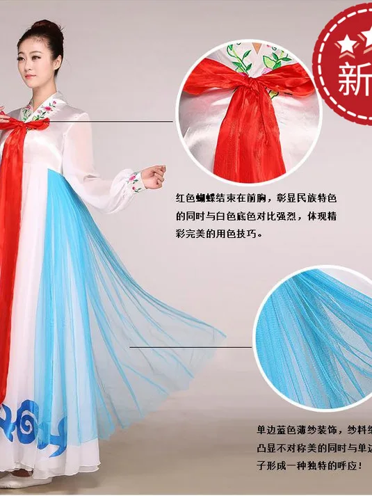 Hanbok Korean Folk Stage Dance Performance Dance Costume Korean Performance Dress Korean Ethnic Traditional Clothing 한복