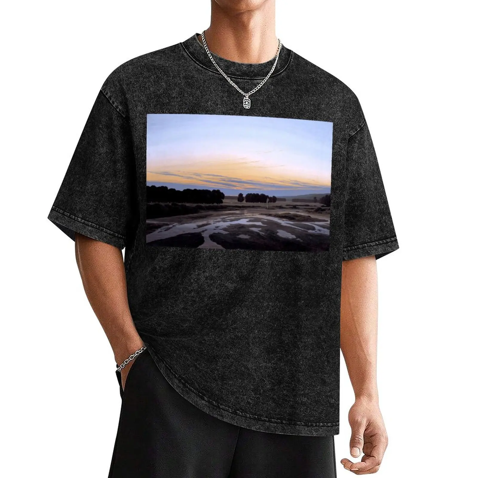 Caspar David Friedrich - The Grosse Gehege near Dresden T-Shirt oversized graphic tee cheap stuff T-shirt men