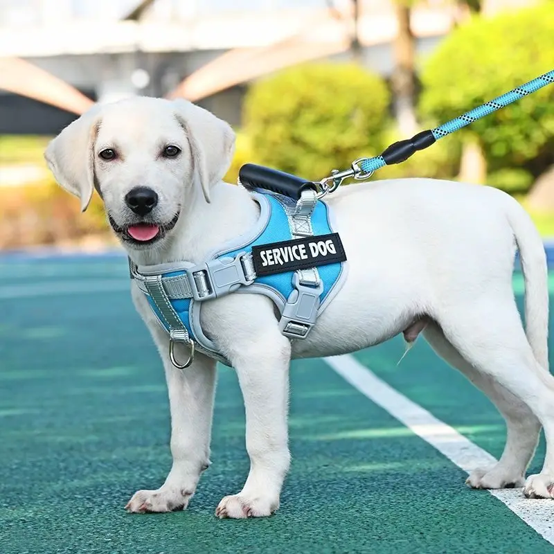 

Dog leash Explosion-proof large dog walking leash Chest strap Golden retriever Labrador riot vest chain rope