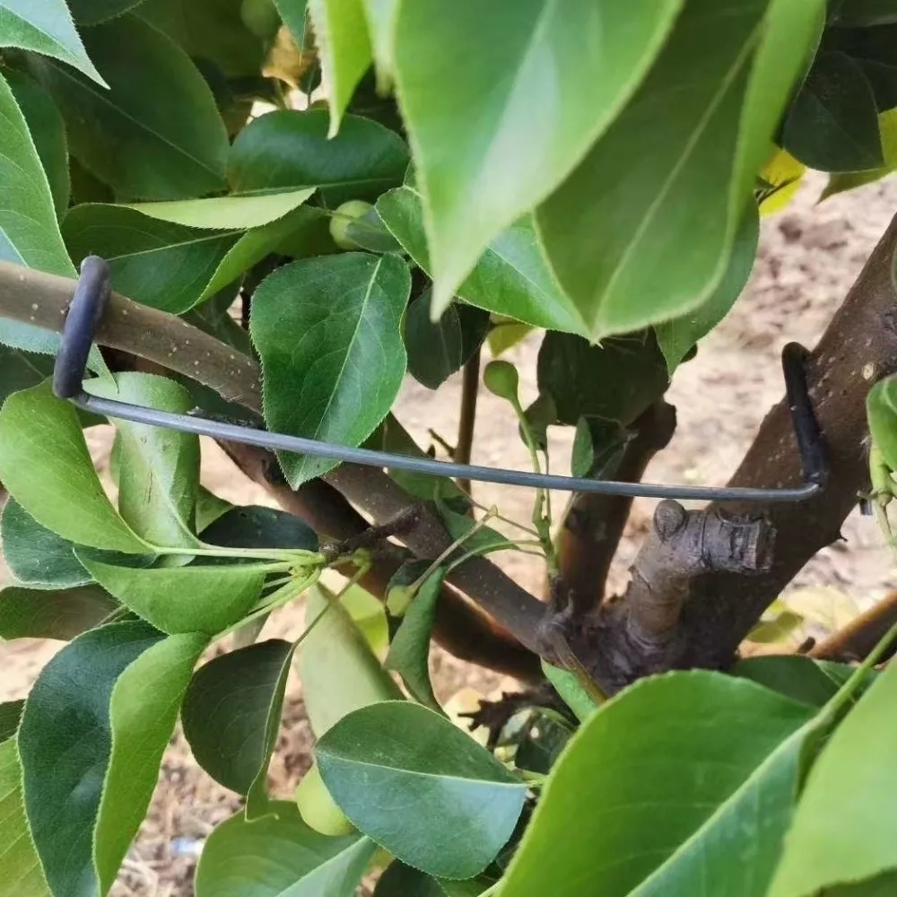 10Pcs Anti-Slip Metal Limb Spreaders High-Strength with Protective Sleeve Fruit Tree Branch Puller Heavy-Duty Plant Support Tool