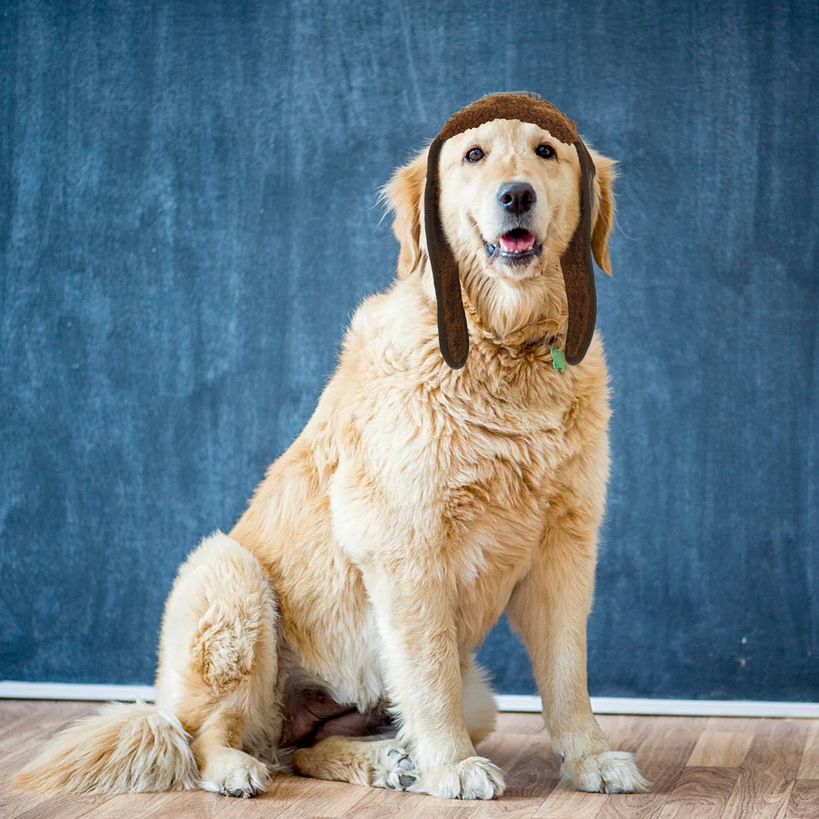 

Show Cat Animal Brown Size Xl Party Photo Accessory Creative Costume Creative Pet Costume Show Pet