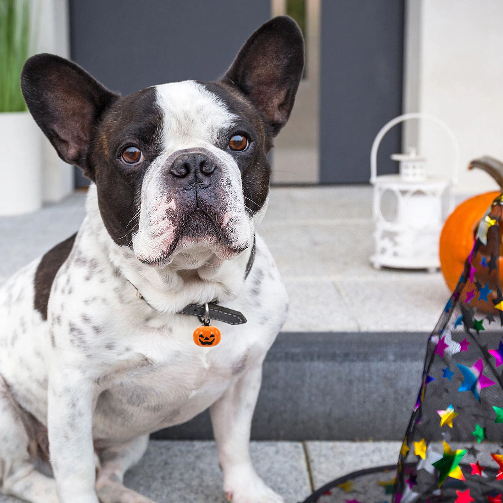 

Pumpkin Bells for Charms Animal Neck Hanging Small Craft Decoration Collar Pendant Ornament Decorative Ring