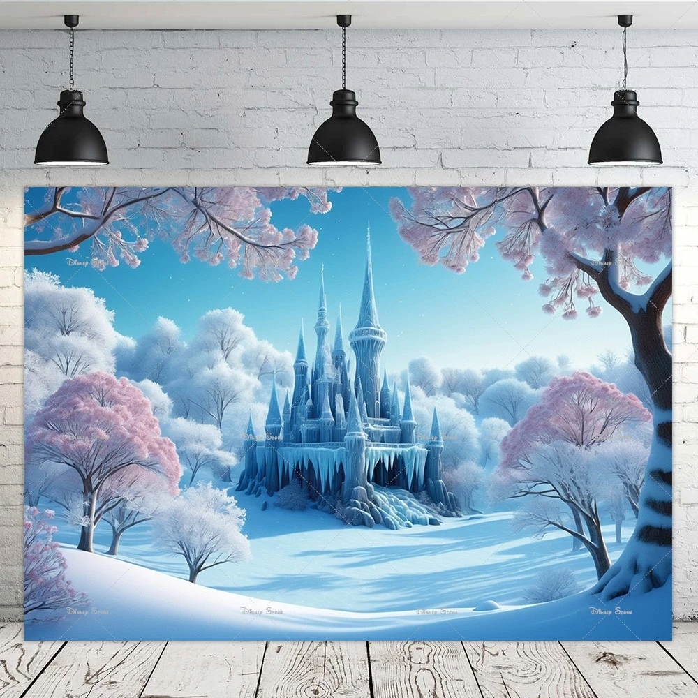 Winter Ice Princess Theme Phot - Winter Clothing Boys 评论和价格