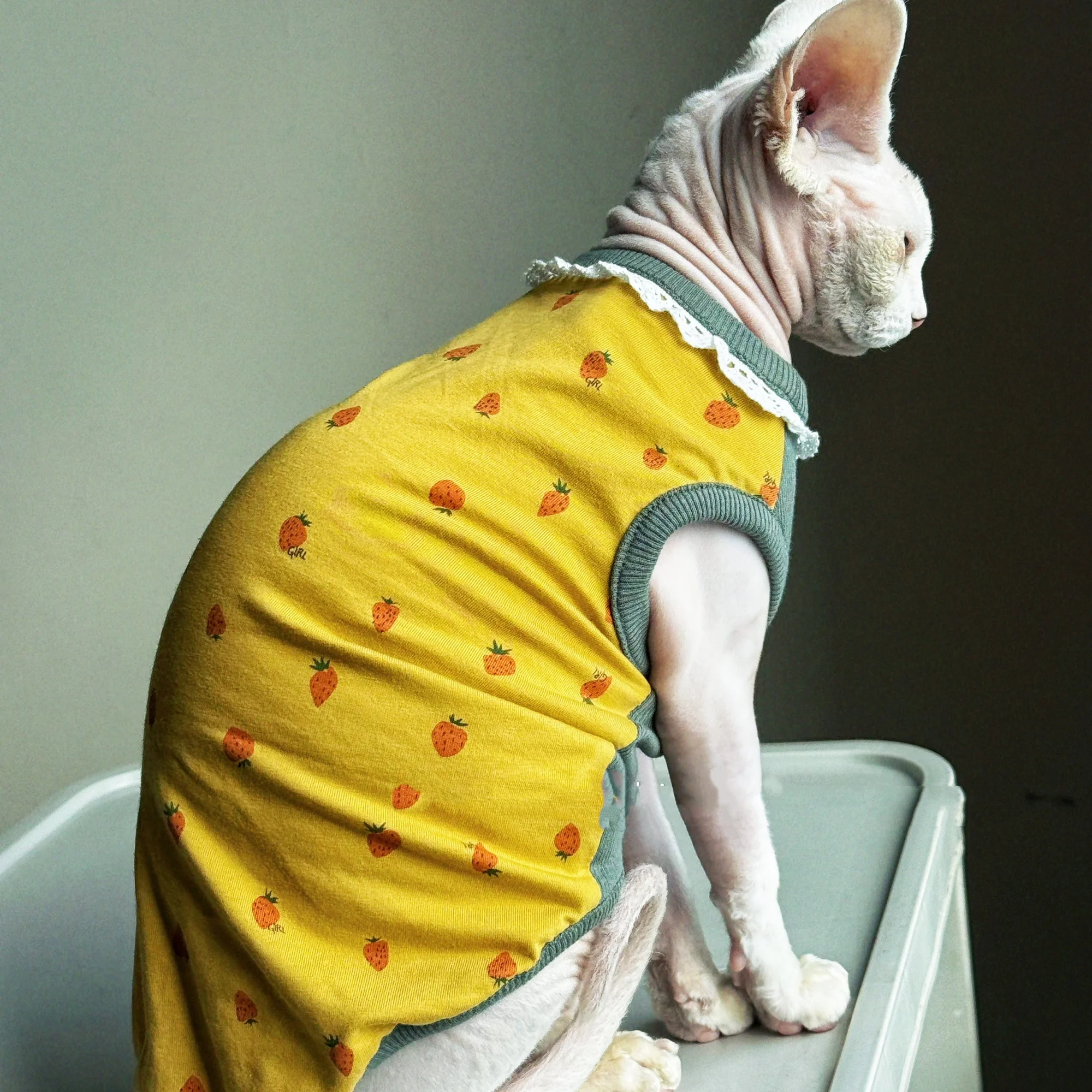 Kleidung für Katzen Frühling S – Summer Green Clothing Bewertung und Preis