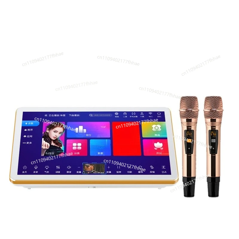18.5 Inch Portable Power Amplifier Jukebox All-in-one
