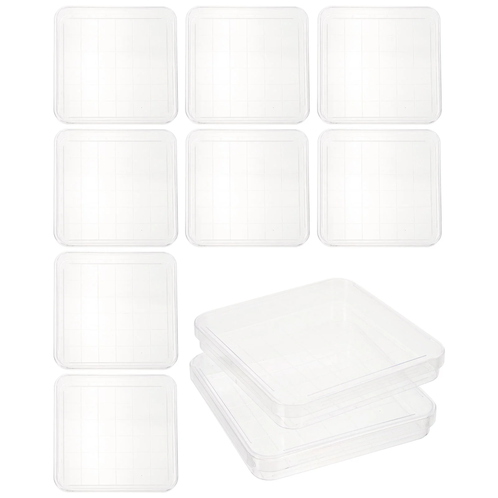 10 Pcs Square Petri Dish Confidence Use Dishes Stackable with Lids Clear Grid Sterile Culture Plastic Transparent Simple Design