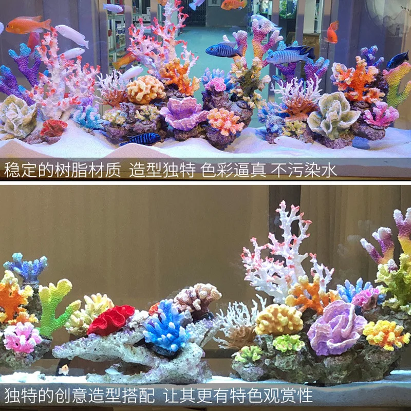 Mały Zbiornik Koralowy Zestaw – Marine Aquarium Epoxy recenzja i cena