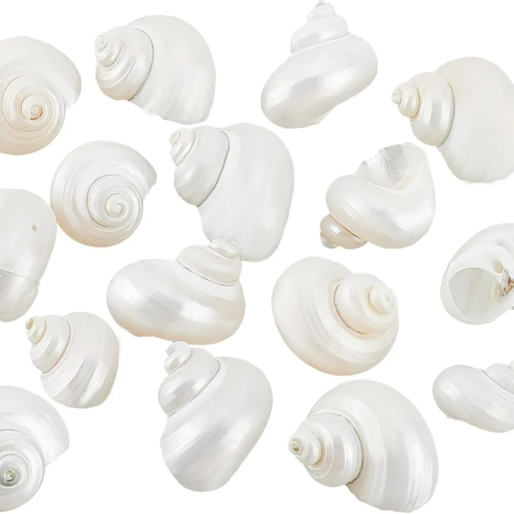 

16pcs Natural Spiral Shell Beads 0.8~1.1 Inch Mouth Turbo Seashells Undrilled Spiral Seashell NO Hole Shells for Home Party kits