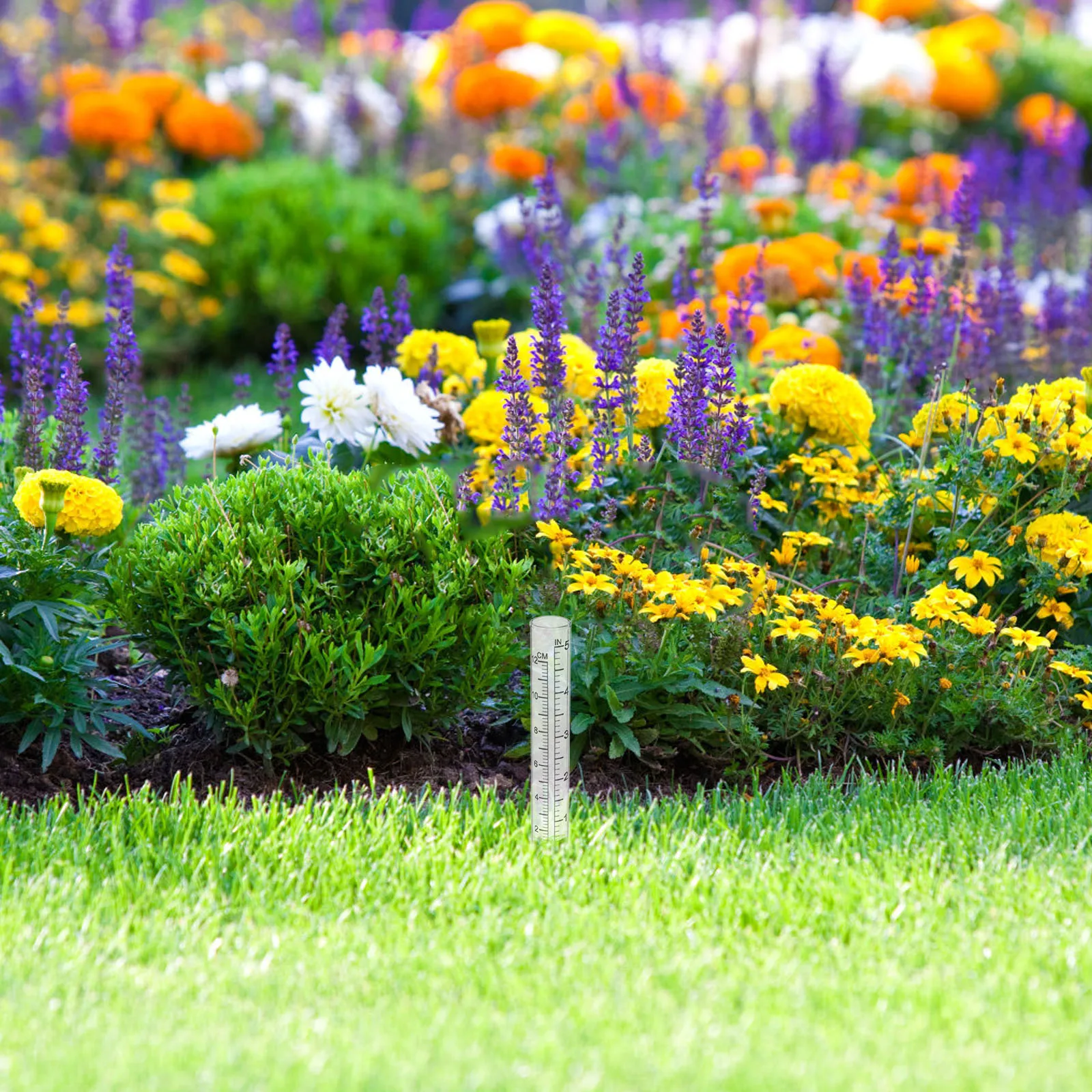 

2Pcs Rain Gauge Glass Tubes Multifunctional Elegant Design for Outdoor Gardens Patios Schools Accurate Rain Gauge Tube