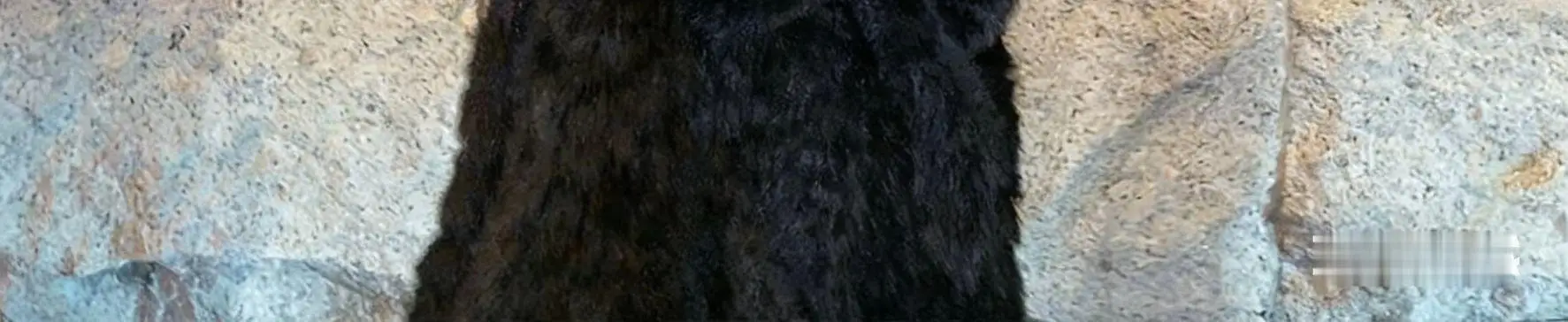 Women Faux Shearling Fur Coats Solid Fur Jackets Cotton Linen Stand Collar Long Sleeves Single Breasted Loose Casual 2026 Winter