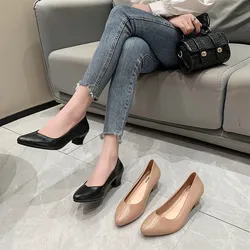 Scarpe Casual alla moda comode e versatili con tacco basso 2024 primavera e autunno nuove scarpe Casual a punta per le donne