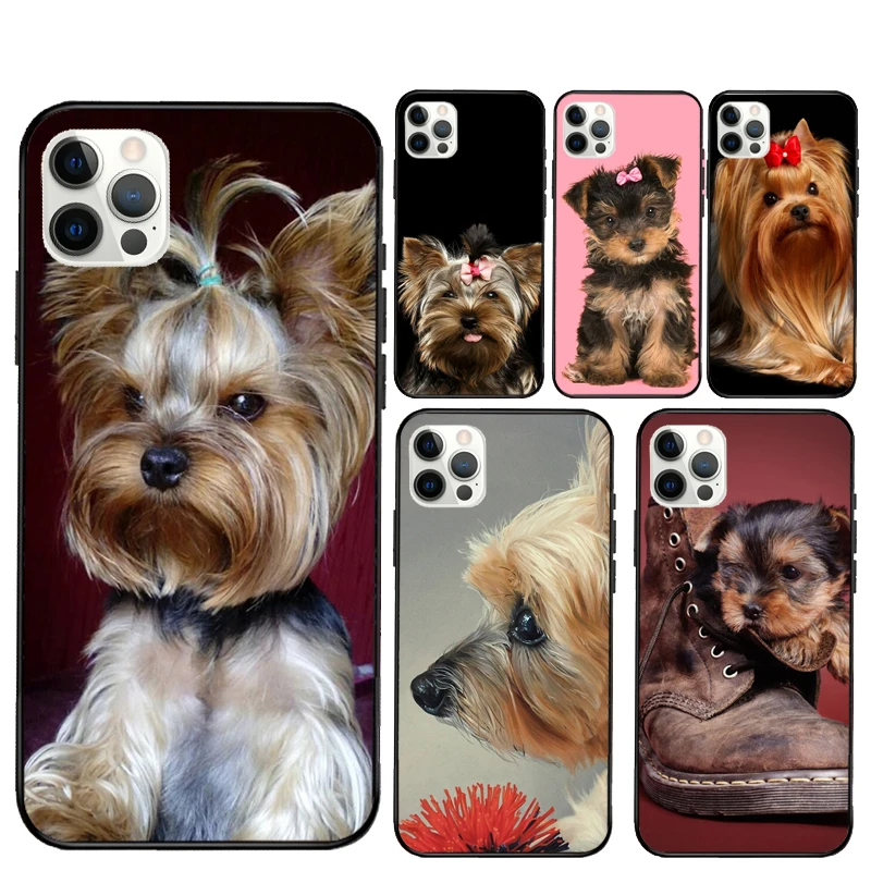 Yorkshire Terrier D… - image