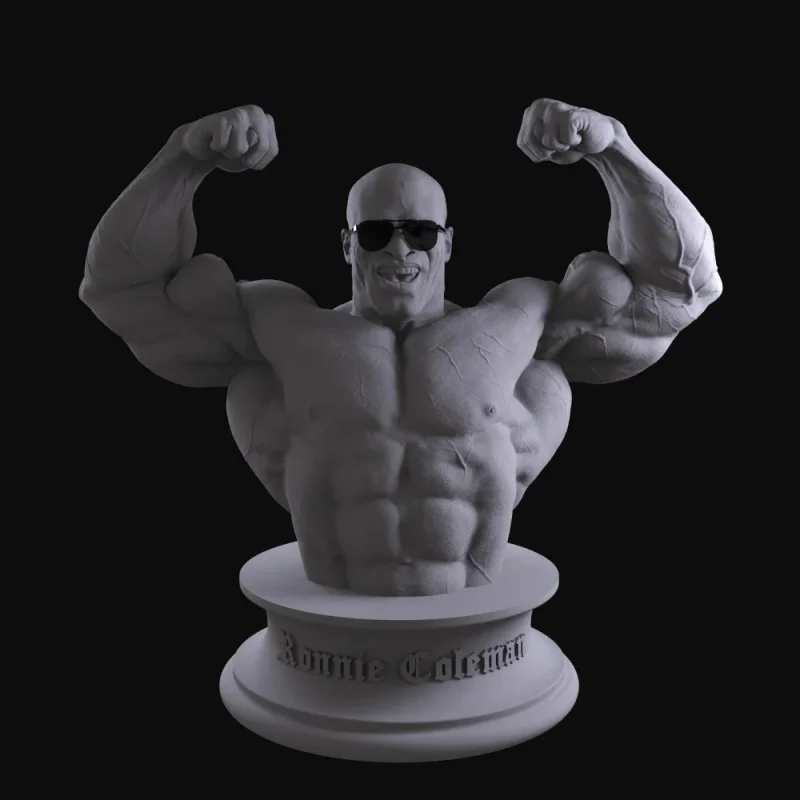 Fitness Trophy Model - Schwarzenegger Roni - High-Precision Detailed Plaster Bust as a Collectible Display Item as a Gift view 4