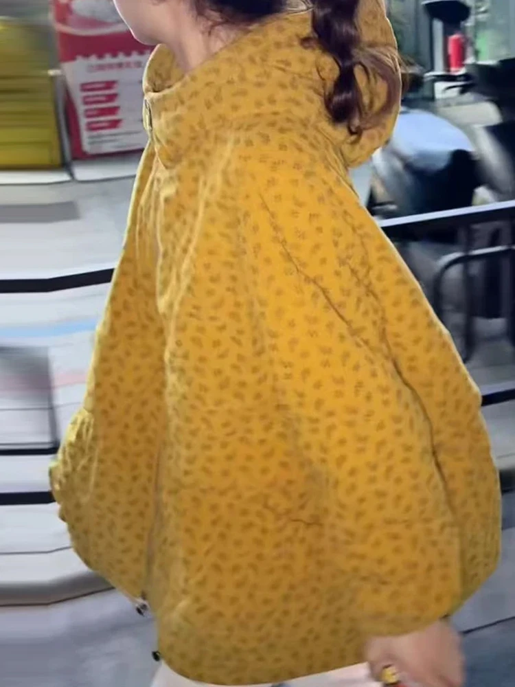 

Модная однотонная хлопковая куртка для женщин, универсальное хлопковое пальто, новинка зимы, корейский стиль, свободный крой, с капюшоном